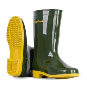 ủng thuỳ dương